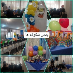 دبستان هوشمند هیات امنایی شیخ محمد خیابانی منطقه یک تهران